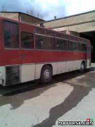 IKARUS 256 в г. Донецк из раздела: Автобусы отечественного производства - продажа новых и б/у