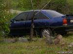 OPEL Omega A в г. Донецк из раздела: Продажа легковых автомобилей иномарок (включая собранные в СНГ)
